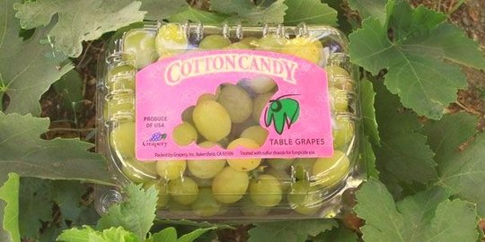 grapes rev3