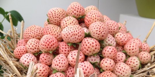 7 buah-buahan unik ini memiliki rasa yang 'menipu'