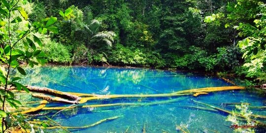 cermin kalimantan timur rev1