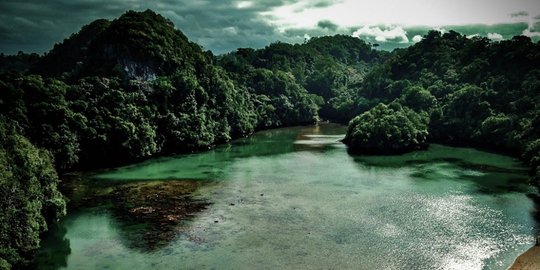 anakan jawa timur rev1