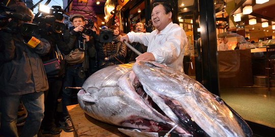 Bos restoran sushi di Tokyo ini beli tuna Bluefin Rp 468 juta