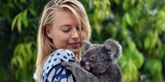 Gaya si cantik Maria Sharapova main bersama koala di Brisbane