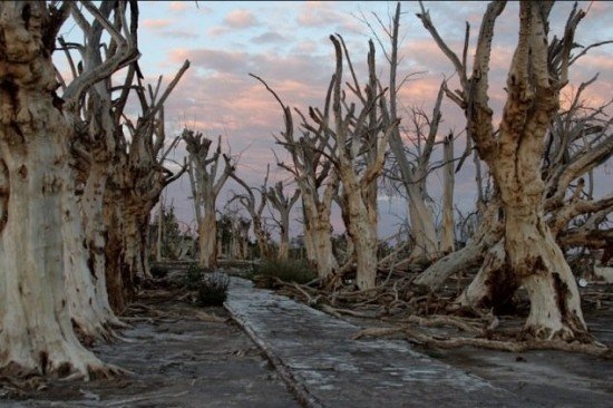 kota epecuen