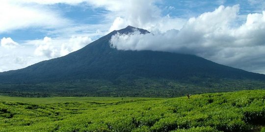 melibatkan ustaz rev1