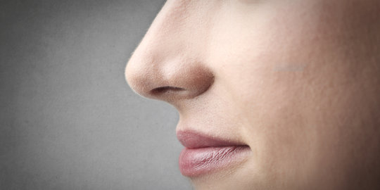 7 Fakta menarik seputar hidung yang wajib diketahui!