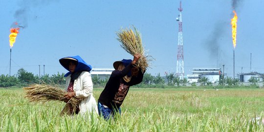 Era SBY jumlah petani berkurang, Menteri Amran sebut mengerikan