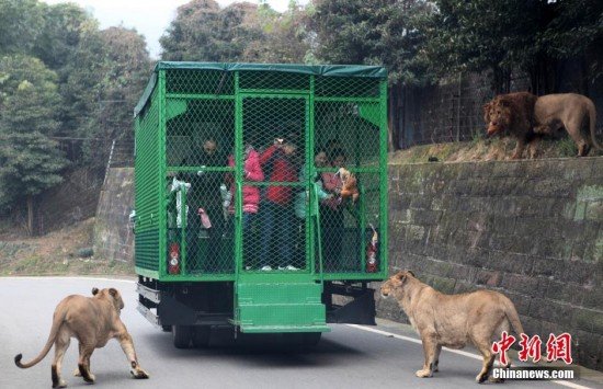 lehe ledu wildlife zoo