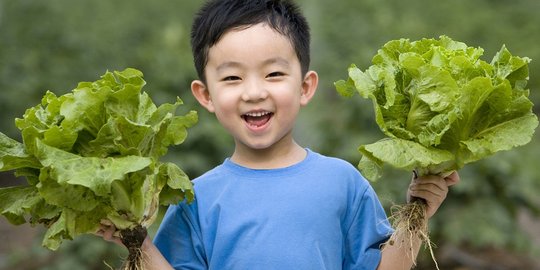 Ingin punya 2 anak, 1 Juta pasangan di China surati pemerintah