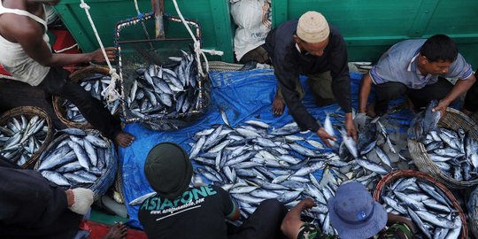 Menteri Susi sebut pencurian ikan bikin harga di dalam negeri mahal