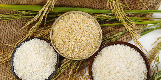 Mentan optimistis setop impor beras premium 2015