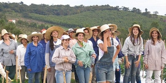 cordeiro brasil