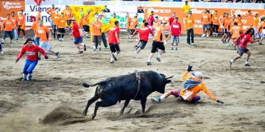 Zapote, ketika para banteng 'kesurupan' di tengah lapangan