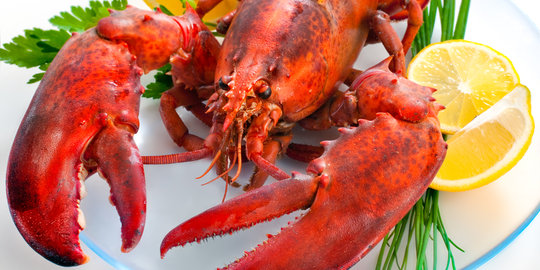 Indonesia di ambang krisis stok lobster dan kepiting bertelur