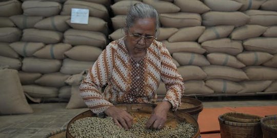 Perjuangan nenek Pariyah jadi penyortir biji kopi buat makan