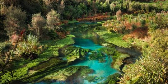 Te Waihou, sungai biru seindah negeri dongeng di Selandia Baru