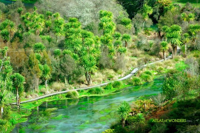 sungai te waihou selandia baru