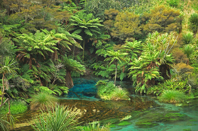 sungai te waihou selandia baru