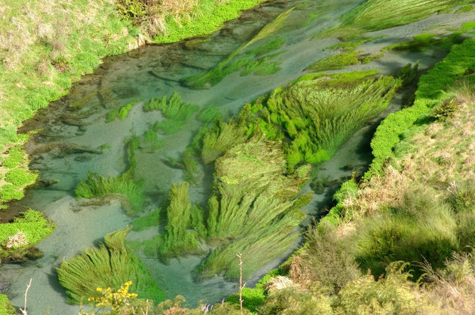 sungai te waihou selandia baru