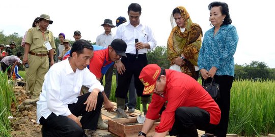 Ramadhan Pohan minta Jokowi tak takut tolak intervensi ketum parpol