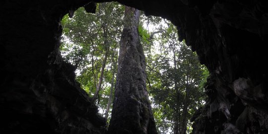 Menjelajahi Gua Rancang Kencana di Gunung Kidul