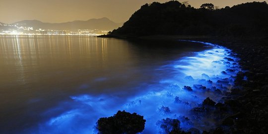 Cahaya biru misterius muncul di pantai Hongkong, ada apa?