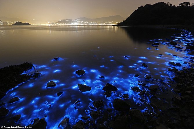 cahaya biru di pantai hongkong
