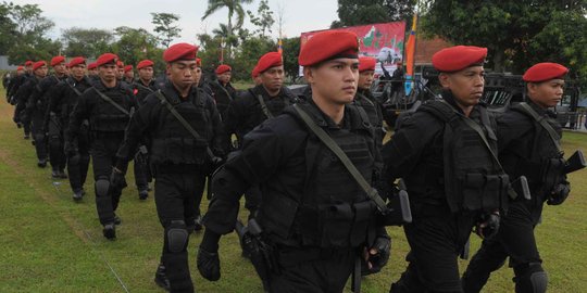 TNI siap terjunkan Kopassus kawal konflik KPK vs Polri