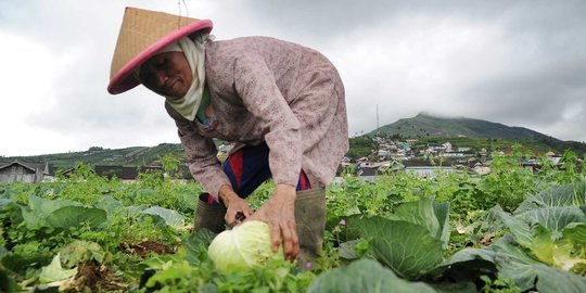 Indonesia mitra strategis WEF untuk keamanan pangan dunia