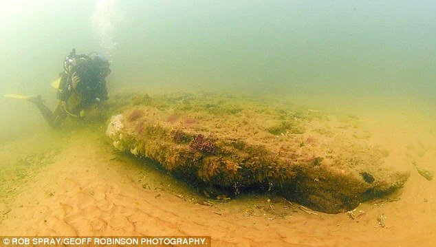 penemuan hutan berumur 10000 tahun