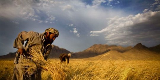 tewaskan 1600 orang di afghanistan rev1