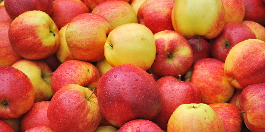 Pemerintah Aceh minta pedagang tak jual Granny Smith dan Gala