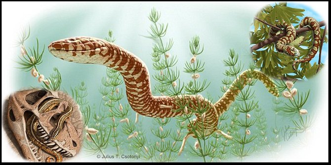 Terungkap Ular Pertama Di Dunia Ternyata Pemakan Dinosaurus