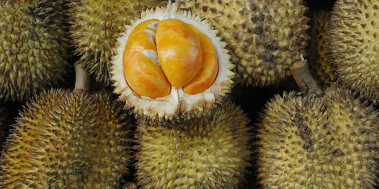 Panen di kebun, Komang Supandi malah tewas kejatuhan durian