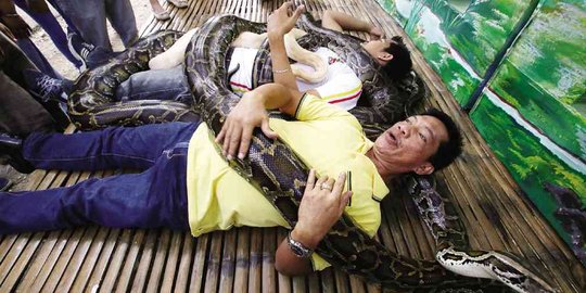Kurangi stres, pengunjung Bonbin Filipina keranjingan pijat ular