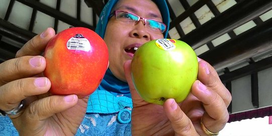 Dinas Perdagangan Tangsel sita puluhan kilo apel Granny Smith