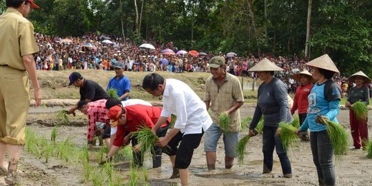 jumlah rumah tangga petani berkurang rev1