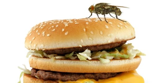 makanan sebelum memakannya rev1