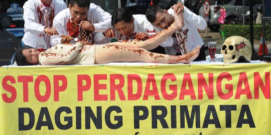 70 Persen primata di Indonesia terancam punah