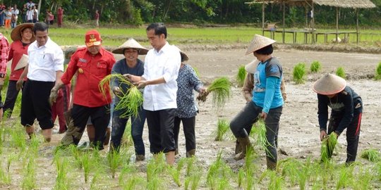 Pulang ke Solo, Jokowi bertemu Ganjar bahas ketahanan pangan