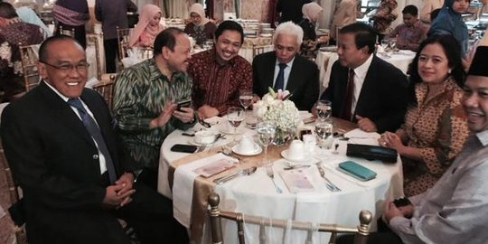 Istana tidak tahu Puan masih rangkap jabatan parpol