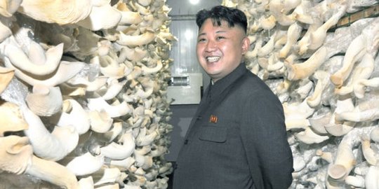 menciptakan ramuan super rev2