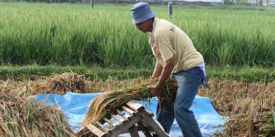 Jadi korban penipuan kupon Kapal Api, petani gadaikan 2 Ha sawah