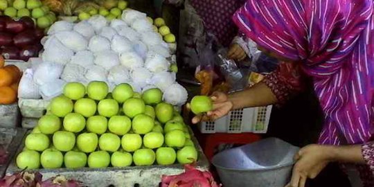 Permintaan apel Malang naik pasca larangan impor Granny Smith & Gala