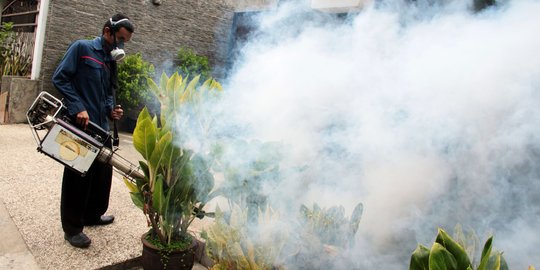 Peras anak kos, pelaku fogging ilegal di Palembang bikin resah