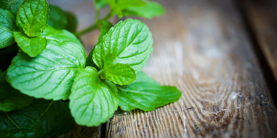 4 Cara redakan pilek dan asma dengan daun mint