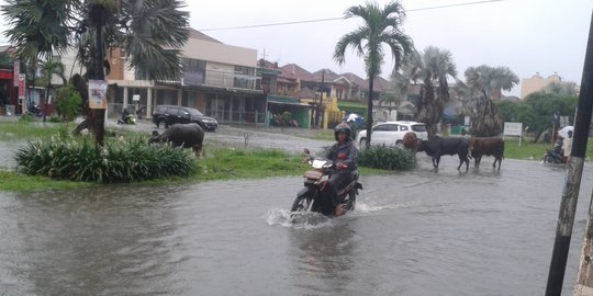 Diguyur hujan, Kompleks Harapan Indah Bekasi bak kubangan kerbau