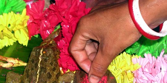 hujan dua kodok di india dinikahkan rev5