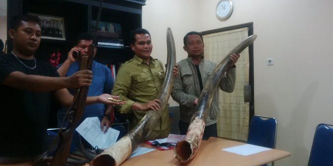 Pembunuh dan pencuri gading gajah di Riau anggota Perbakin
