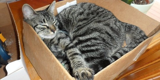 lingkungan baru rev1