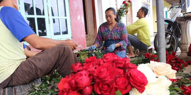 Jelang Valentine, petani mawar di Batu raup untung berlipat